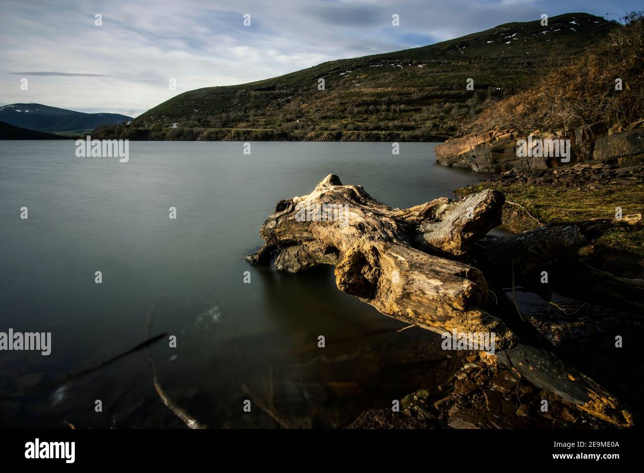 Tronco d'albero in un lago calmo d'inverno, in Cantabria, nel nord della Spagna Foto Stock