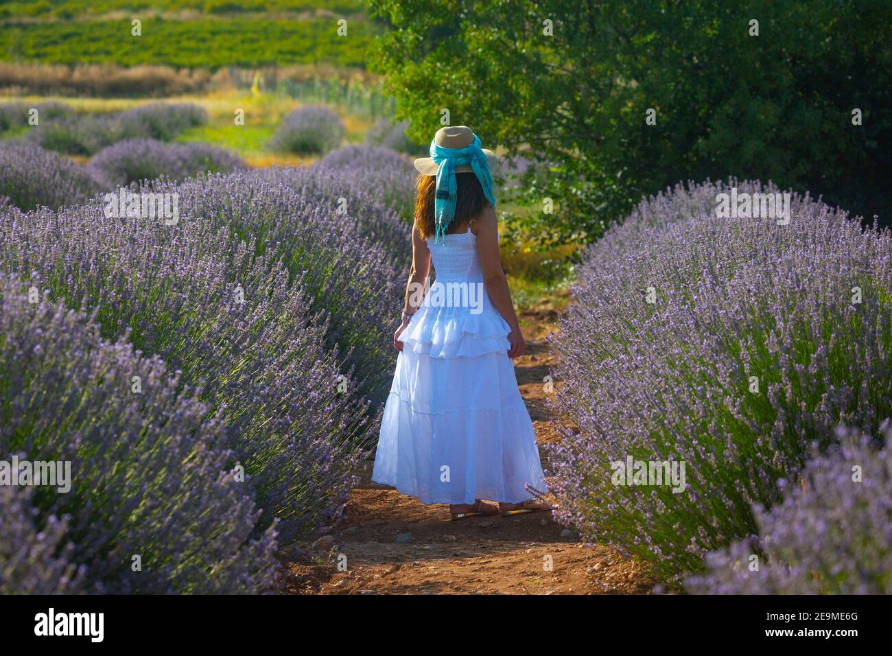 La donna in abito bianco in piedi nel mezzo di un campo di lavanda in Turchia. Foto Stock