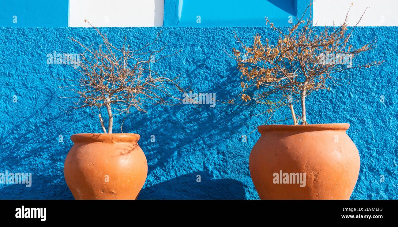 Contenitori di piante di terracotta, vasi contro parete blu in Spagna Foto Stock