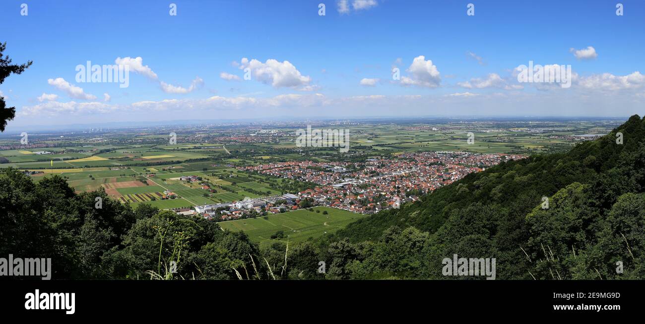 Schriesheim nel distretto del Reno-Neckar con la pianura del Reno sullo sfondo (Baden-Wurttemberg, Germania) Foto Stock