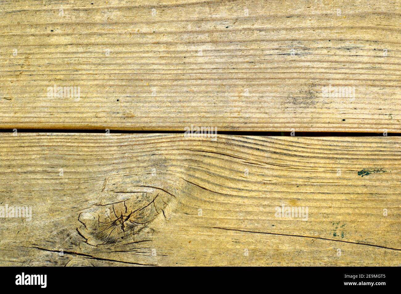 Colpo di closeup di un modello di albero tagliato con crepe- grande per sfondo di sfondo Foto Stock