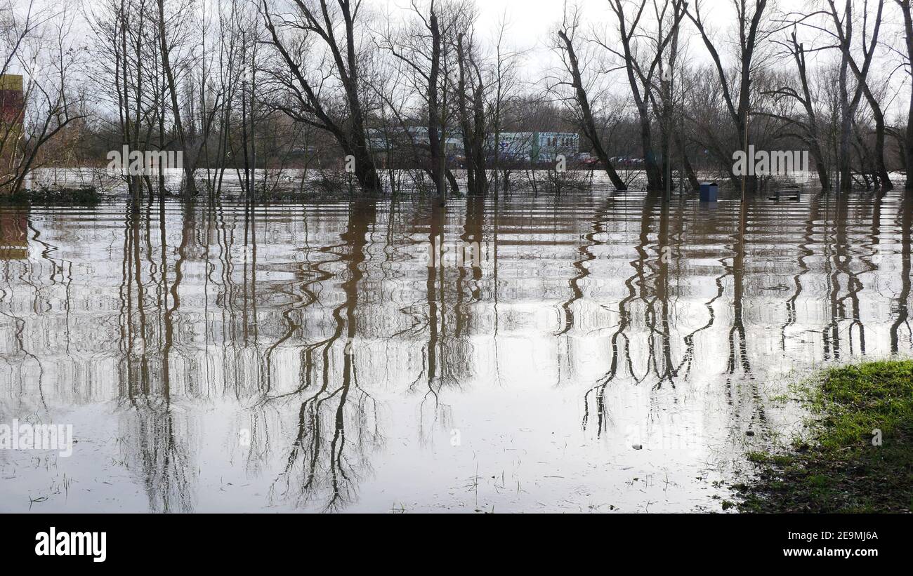 L'acqua in piedi crea effetti ottici come uno specchio liquido durante L'alluvione nel febbraio 2021 nei pressi di Magonza (Germania) Foto Stock