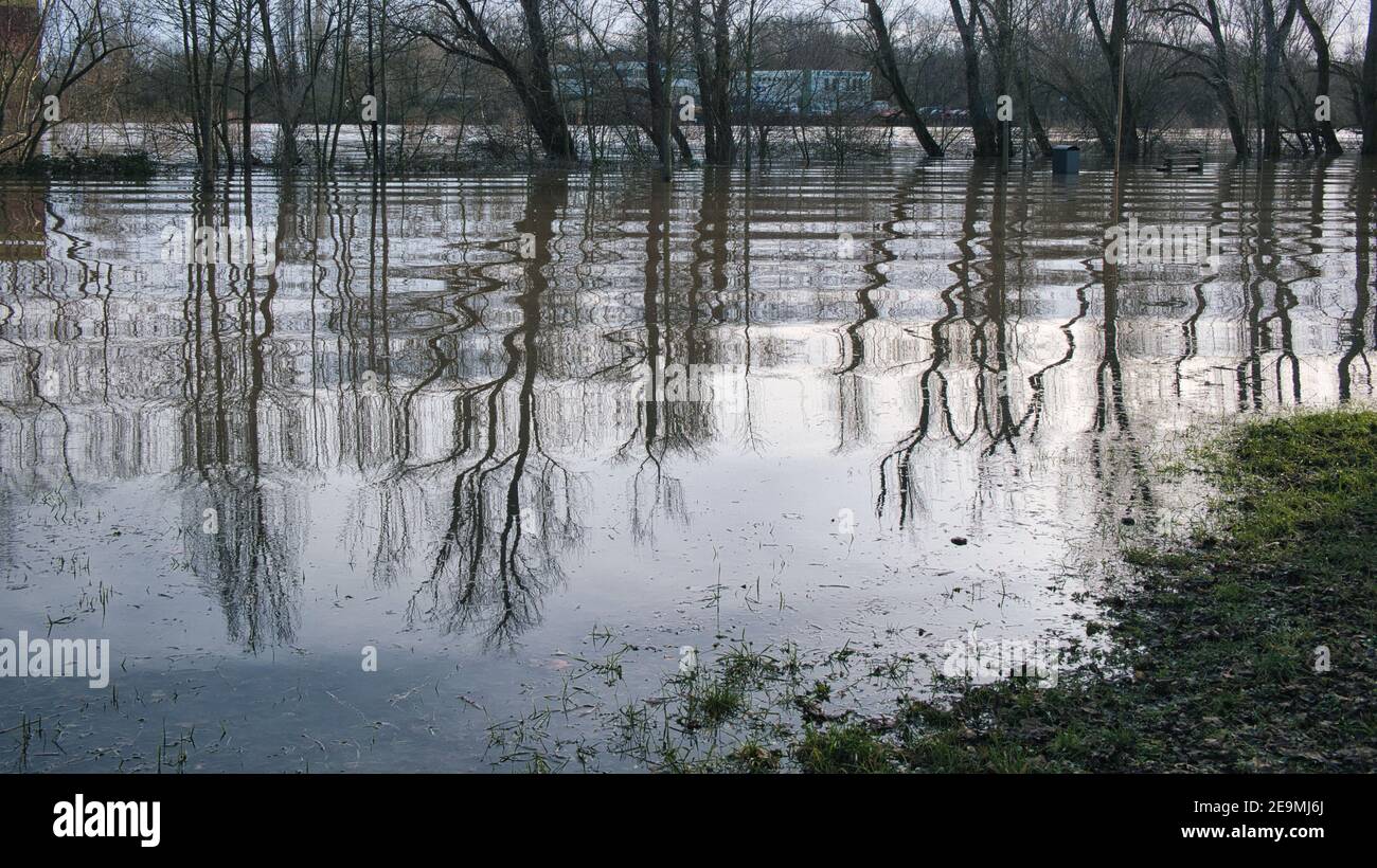 L'acqua in piedi crea effetti ottici come uno specchio liquido durante L'alluvione nel febbraio 2021 nei pressi di Magonza (Germania) Foto Stock