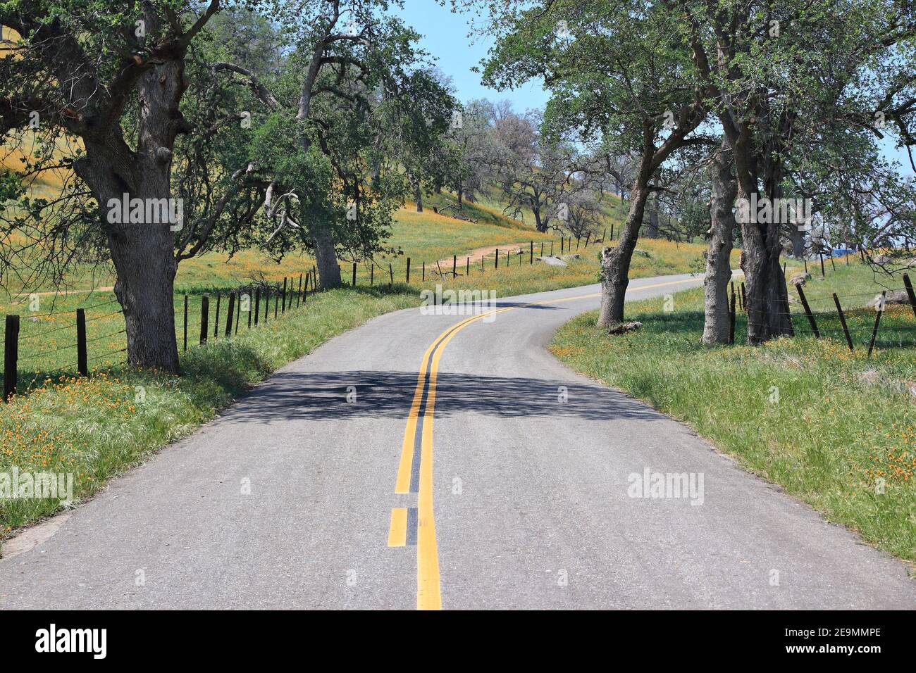 California strada rurale nel paesaggio di campagna del Tulare County. Foto Stock