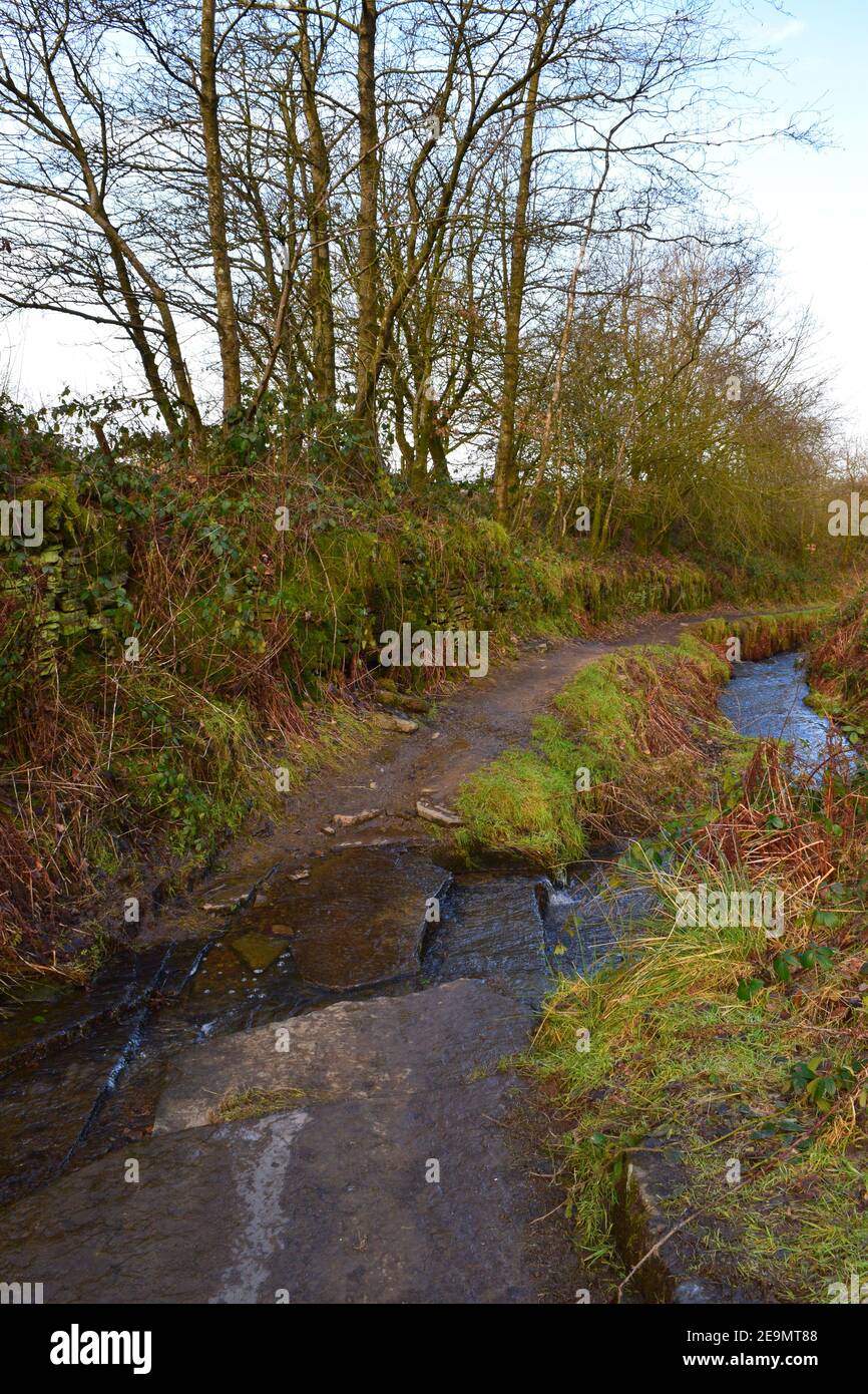 In inverno, in una campagna inglese, con sagome e tonalità per una sensazione di atmosfera Foto Stock