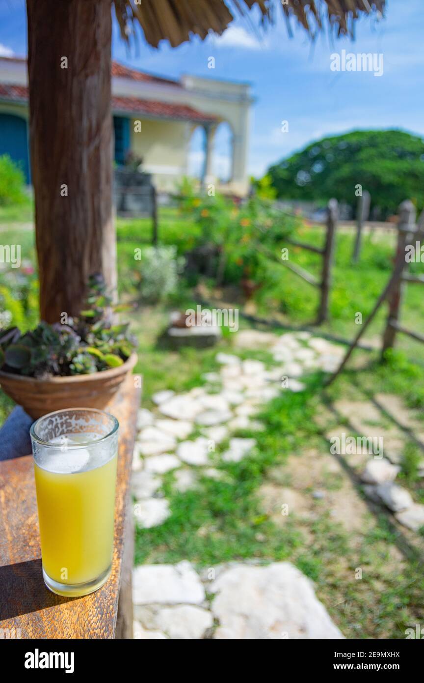 Un bicchiere di succo di canna da zucchero nella tenuta di Manaca Iznaga vicino a Trinidad, Sancti Spíritus, Cuba. La Valle dei Mulini di zucchero è un sito patrimonio dell'umanità Foto Stock