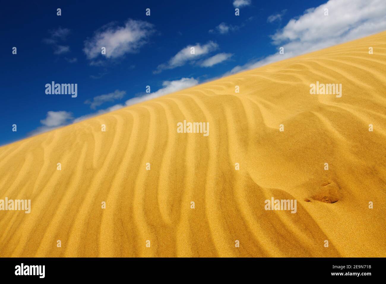 Concetto di deserto, duna di sabbia e cielo blu Foto Stock