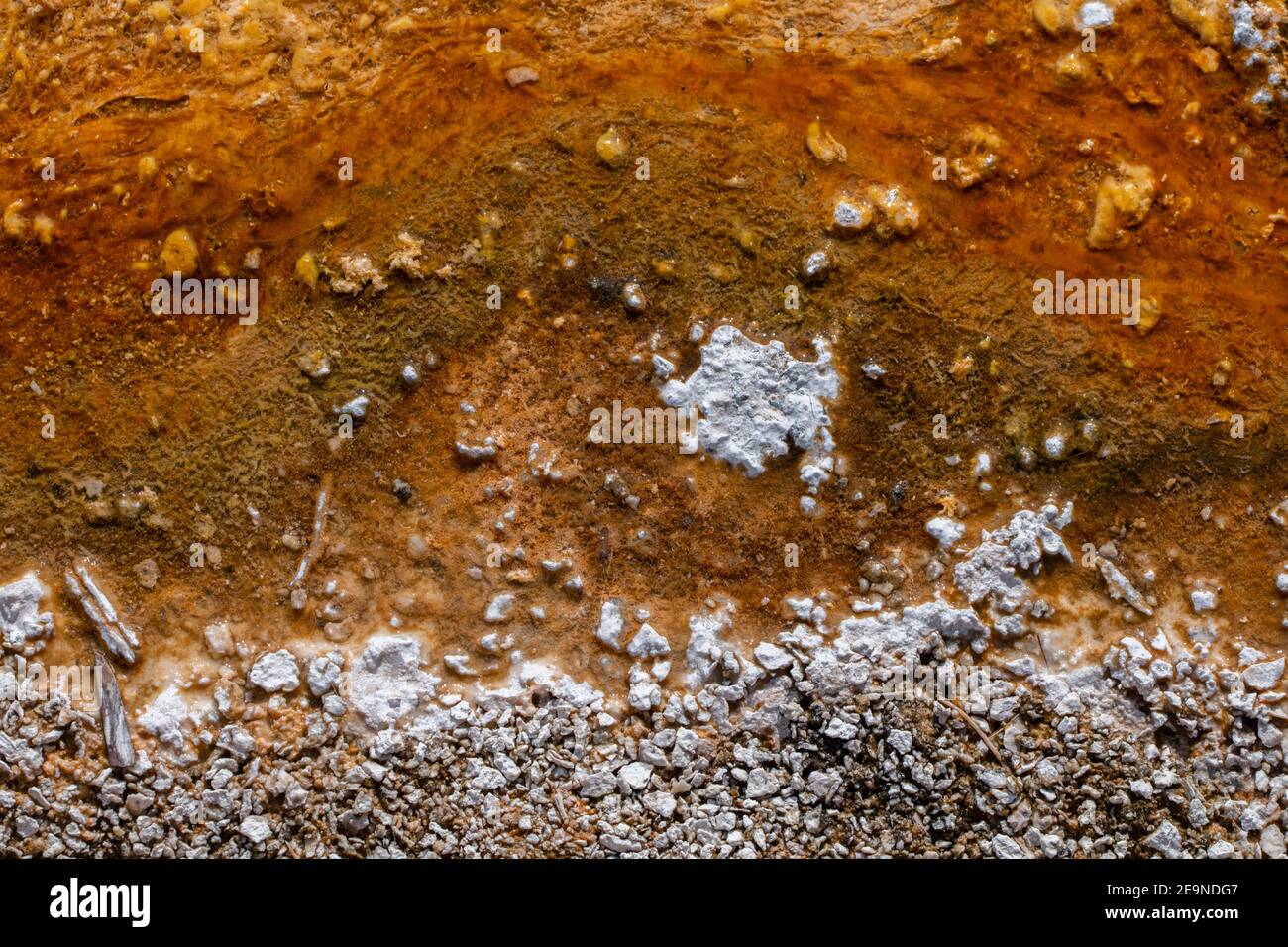 Nord America, Wyoming, Parco Nazionale di Yellowstone, Bacino di sabbia nera. Particolare del colorato tappetino batterico termofilare. Foto Stock