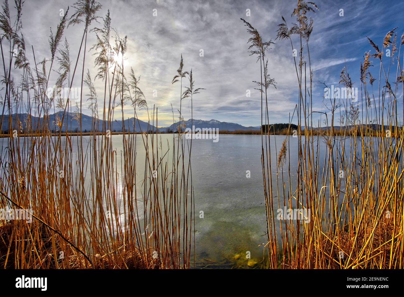DE - BAVARIA: Spatzenpointweiher (Stagno del Passero) a Loisach Moor a Benediktbeuern Foto Stock