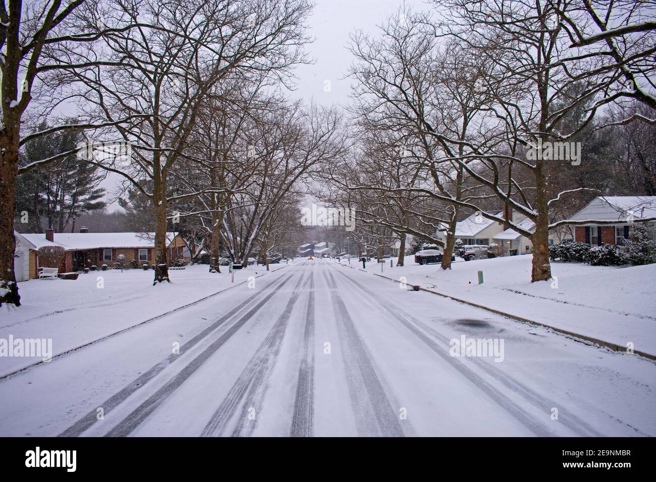 La neve leggera scolpisce i rami vuoti di una fila di alberi di sicomoro nella città suburbana di Old Bridge, New Jersey -05 Foto Stock