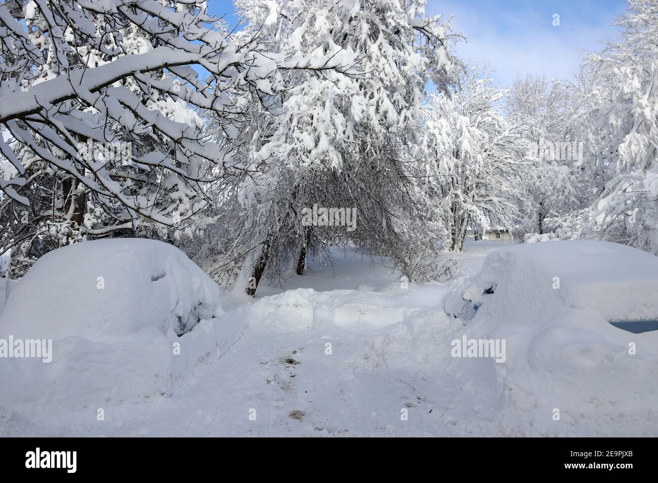 Due auto completamente innevate in un parcheggio in inverno Foto Stock