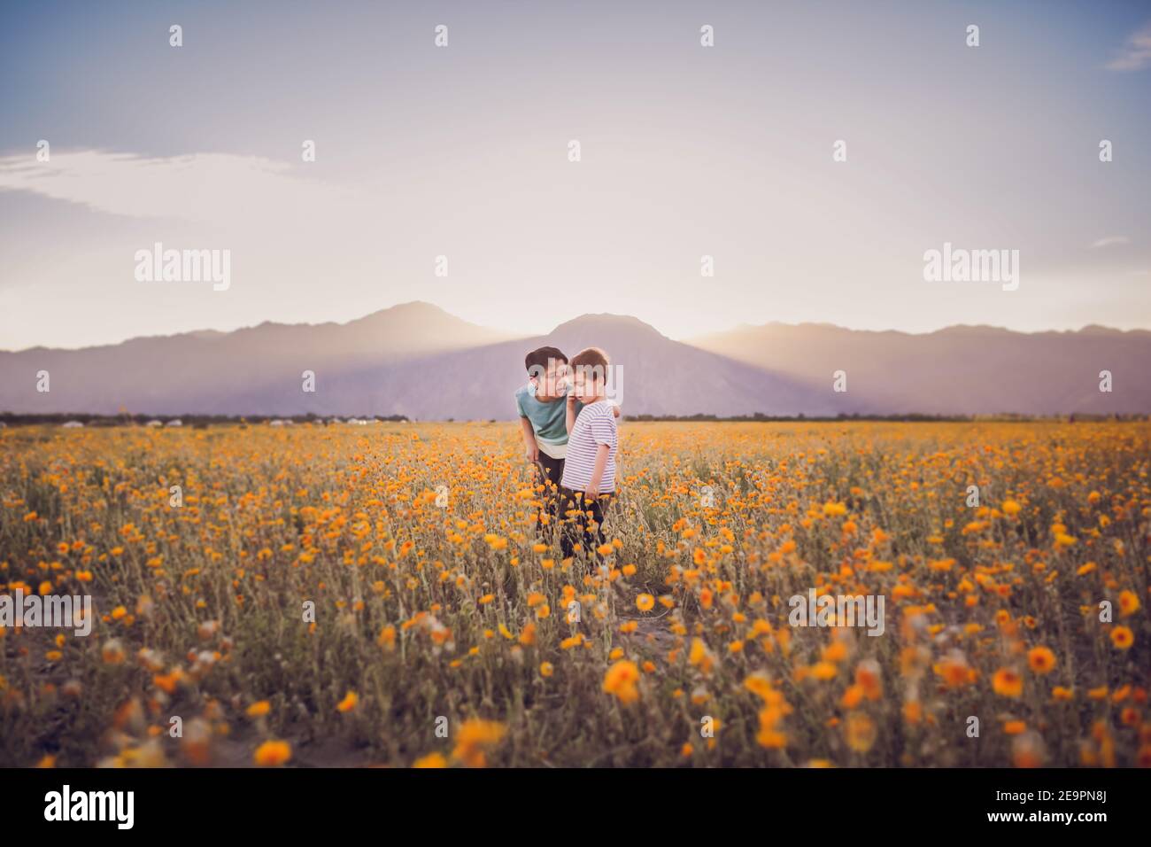 Un ragazzo che parla con un altro ragazzo su un campo di fiori selvatici nel deserto Foto Stock
