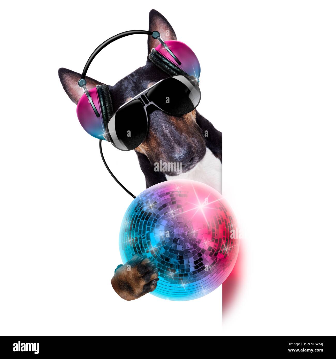 DJ bull terrier cane giocare musica in un club con disco palla, isolato su sfondo bianco, dietro banner o placard Foto Stock