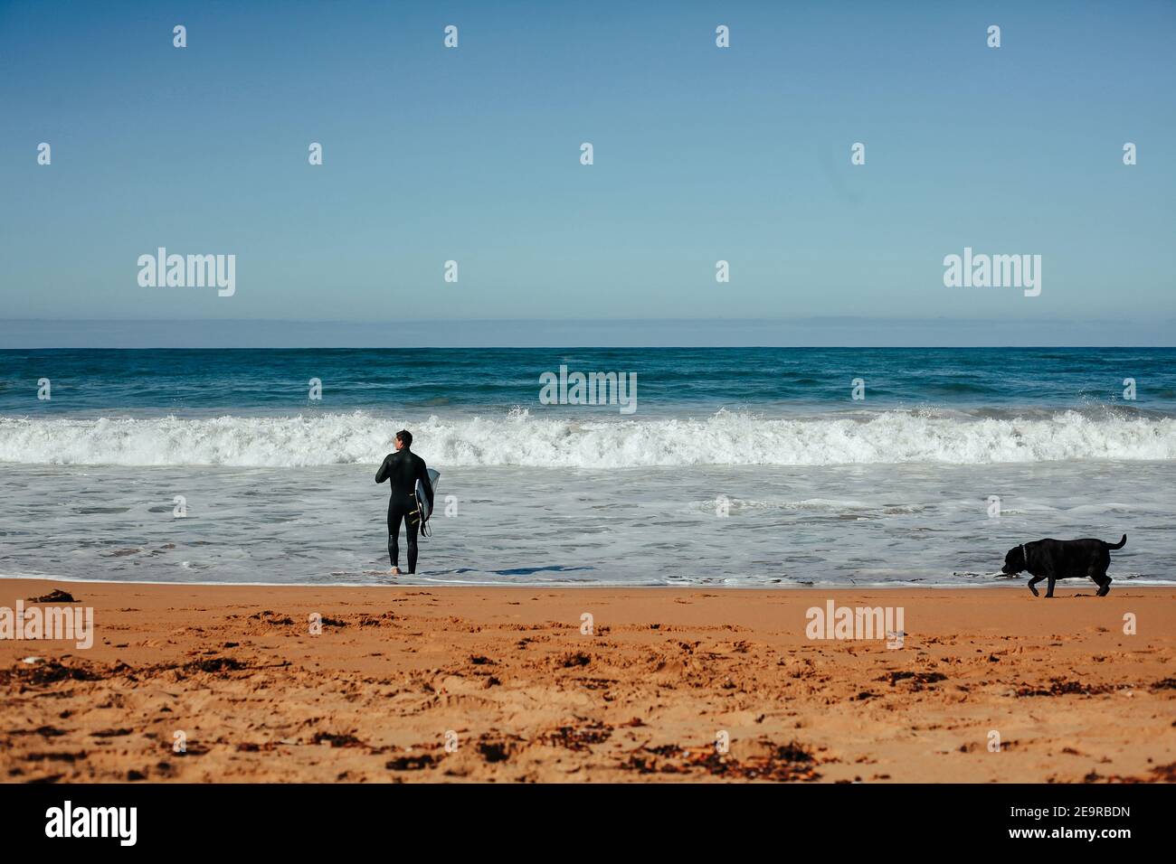 Un surfista guarda le onde dell'Oceano Meridionale a Moyji o Point Ritchie a Warrnambool, Southwest Victoria, Australia Foto Stock