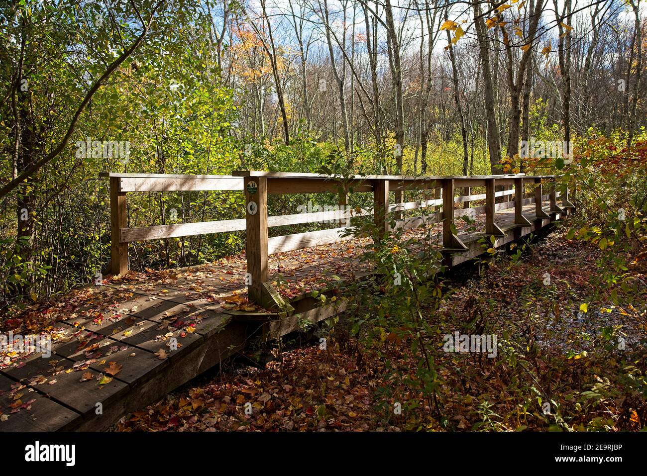 Creek Bridge Foto Stock