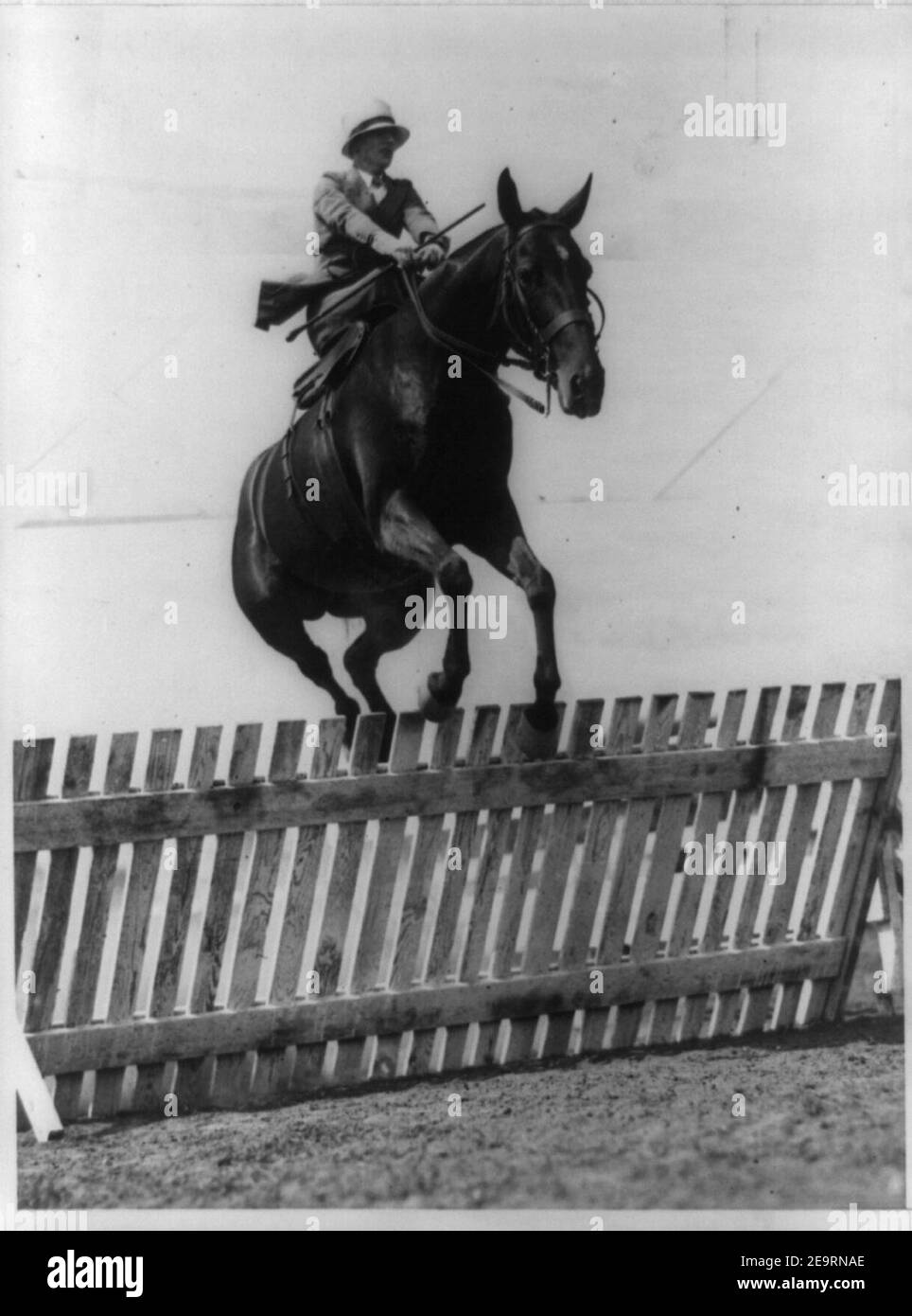 La sig.ra O.C. Coolican tenendo la recinzione sui giorni felici, la sua entrata nel capitale nazionale Horse Show, apertura a Washington, 14 maggio Foto Stock