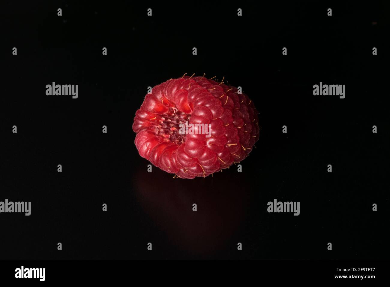 Lampone maturo isolato su sfondo nero. Fotografia macro Raspberry. Foto Raspberry parte della mia collezione di fotografia di frutta. Foto Stock