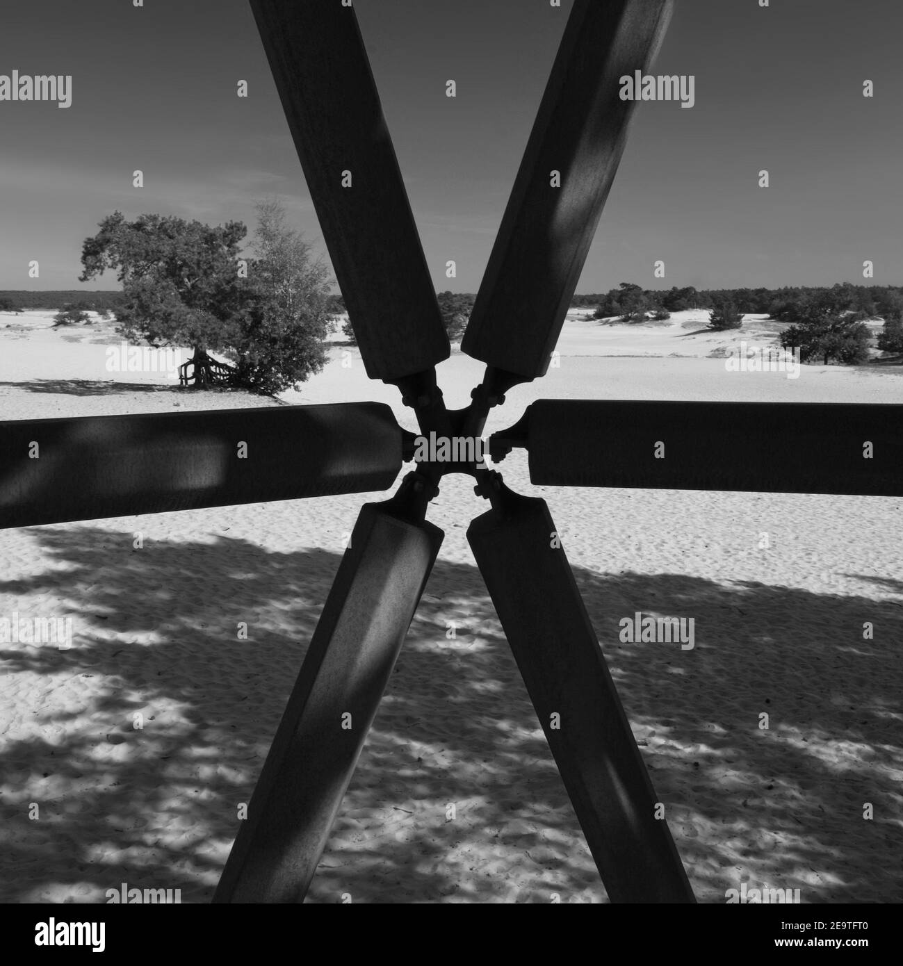 Kootwijk Paesi Bassi - 18 settembre 2020 - dune di sabbia in Riserva naturale Kootwijkerzand nei Paesi Bassi Foto Stock