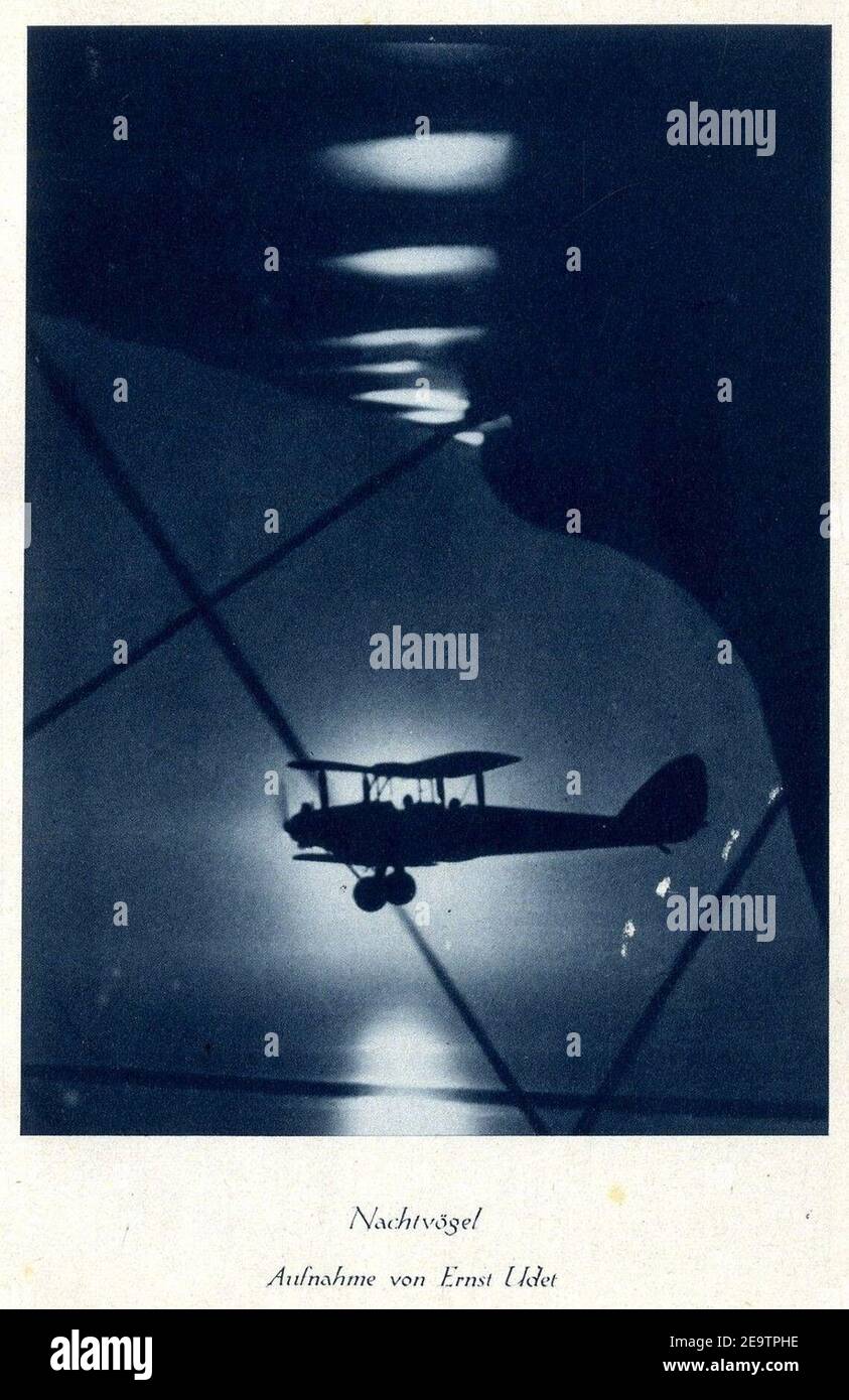 Nachtvögel. Aufnahme von Ernst Udet c. 1930. Foto Stock