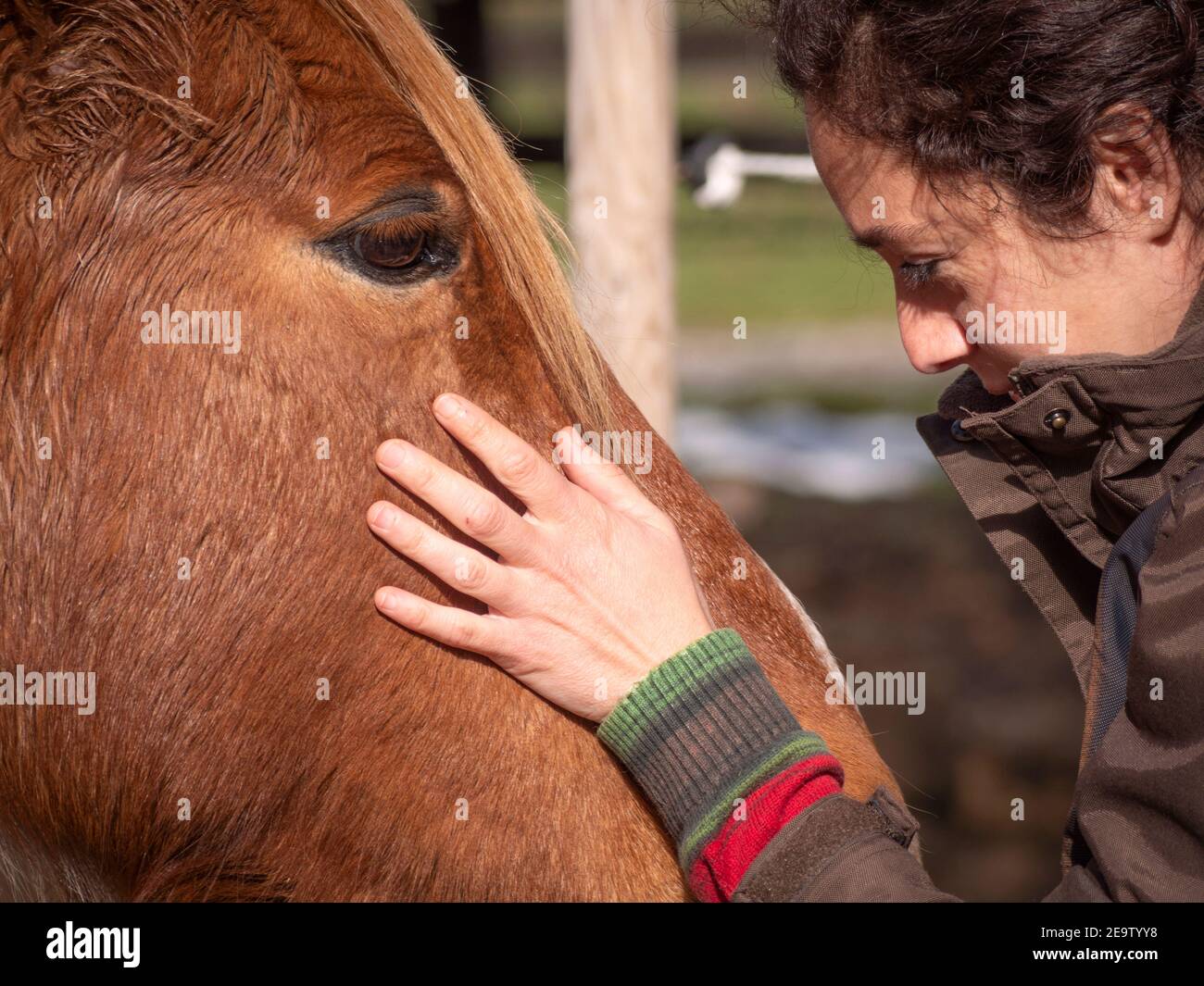 Donna caucasica che accarezzava un pony piebald. Foto Stock