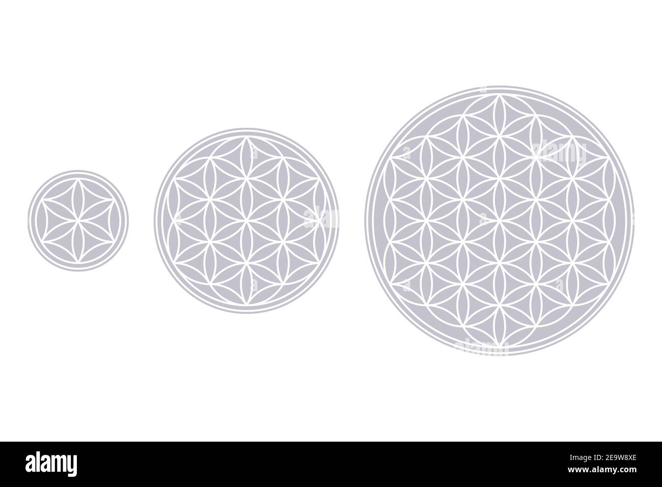 Fiore bianco di vita, nucleo e seme di vita su campi di grigio. Figure geometriche e simboli spirituali della geometria Sacra. Foto Stock