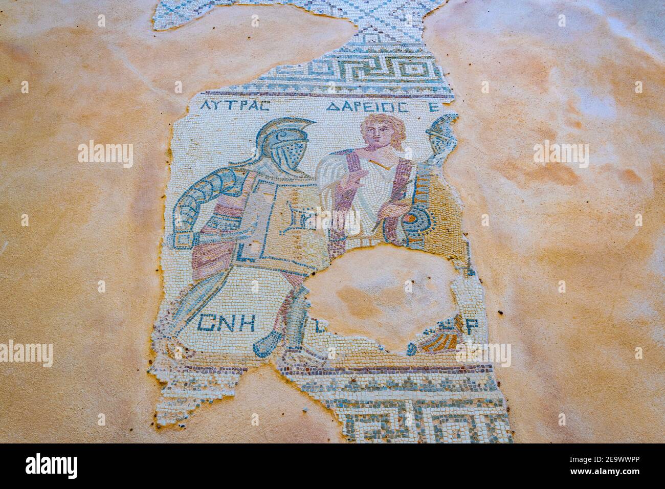 Casa dei gladiatori immagini e fotografie stock ad alta risoluzione Alamy