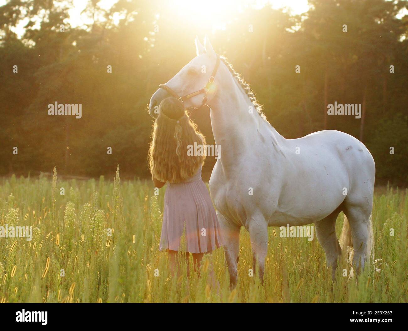 giovane donna con abito rosa e cavallo bianco sul prato durante il tramonto - amicizia Foto Stock