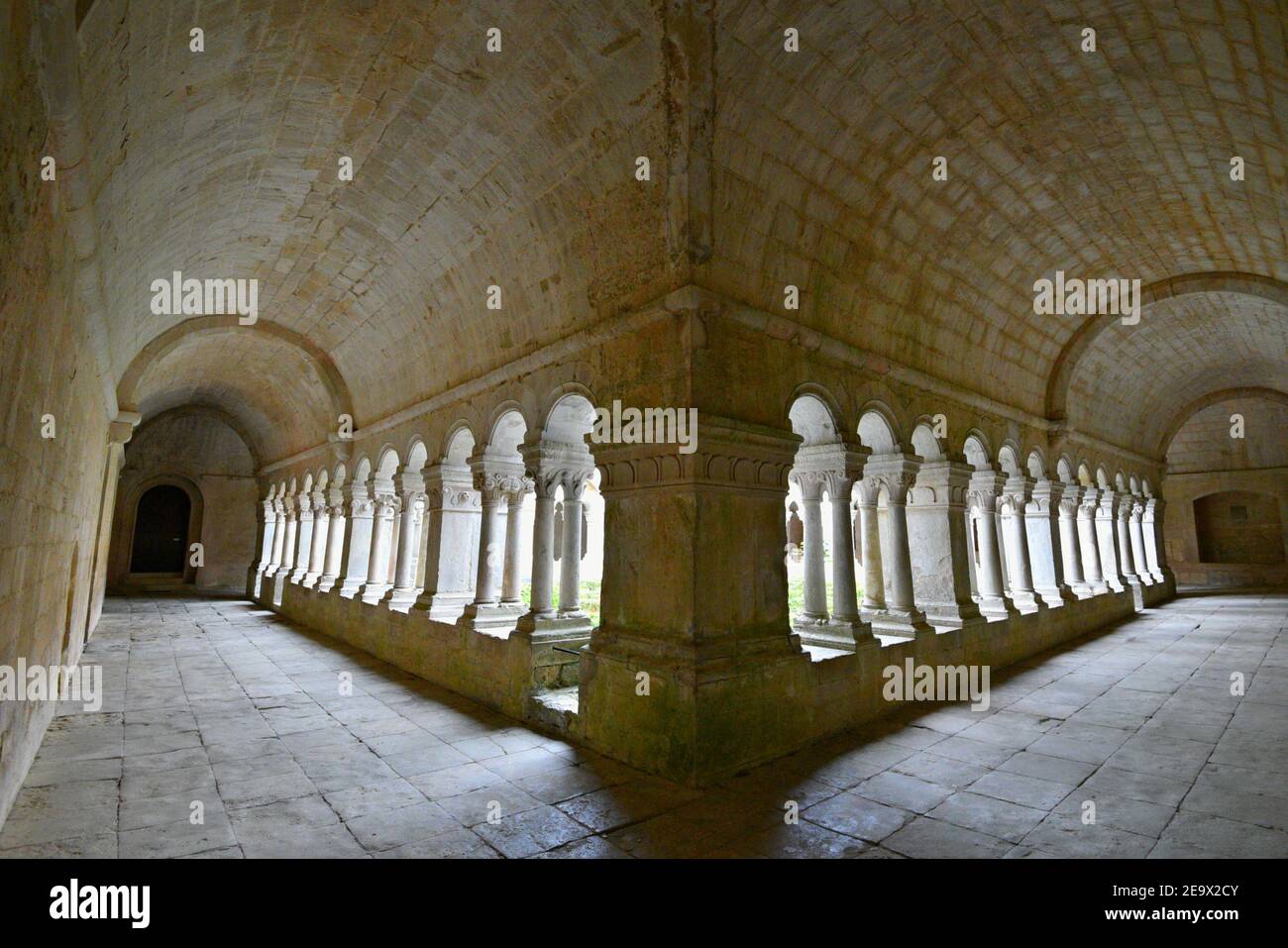 Chiostro interno in stile romanico con vista sull'Abbazia di Sénanque, una comunità cistercense vicino allo storico villaggio di Gordes in Vaucluse Provence France Foto Stock