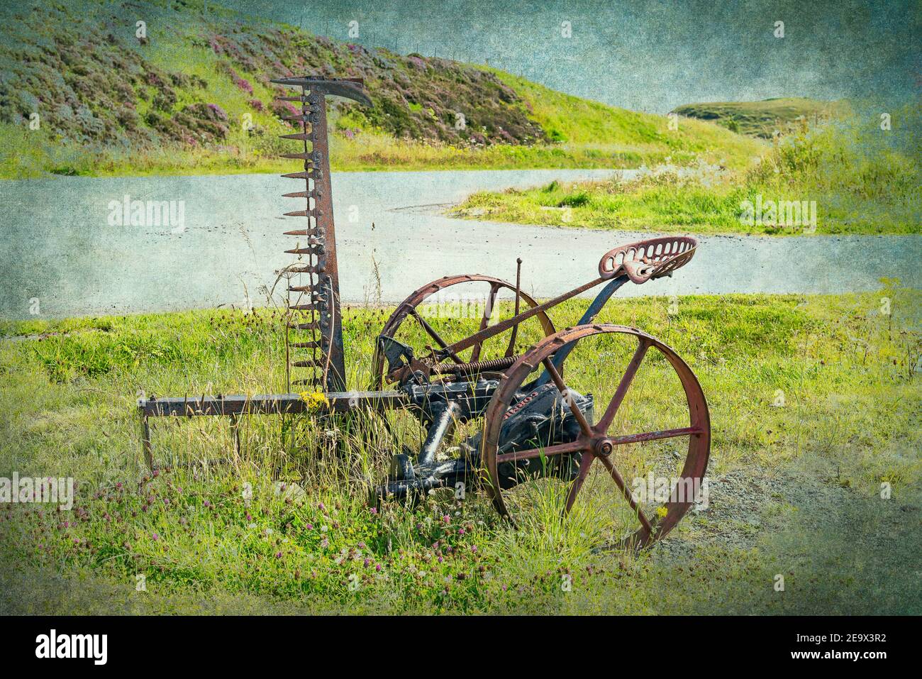 Tosaerba Hay McCormick antico trainato da cavalli Foto Stock