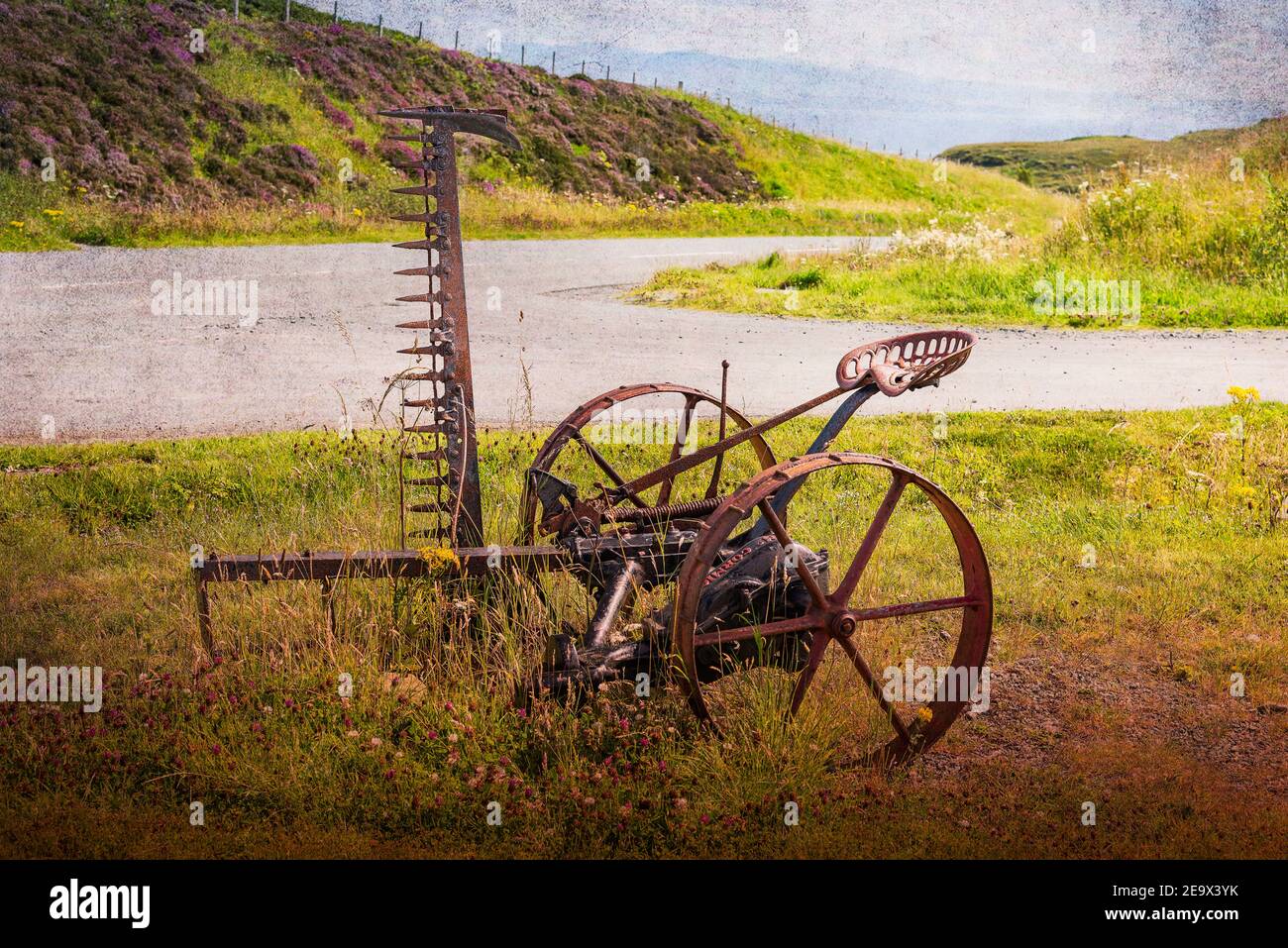 Tosaerba Hay McCormick antico trainato da cavalli Foto Stock