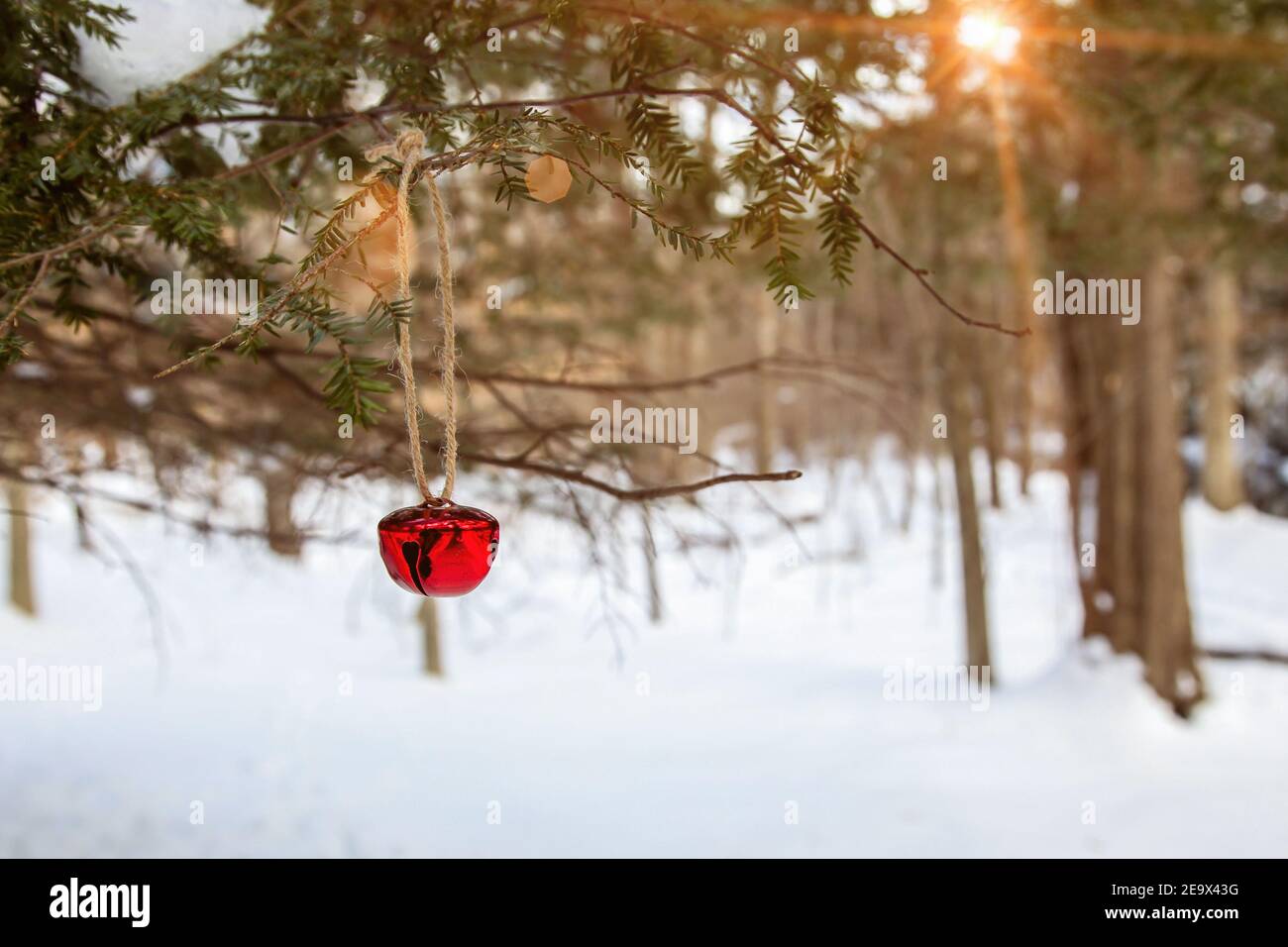 Jingle campana su albero con paesaggio invernale sullo sfondo Foto Stock