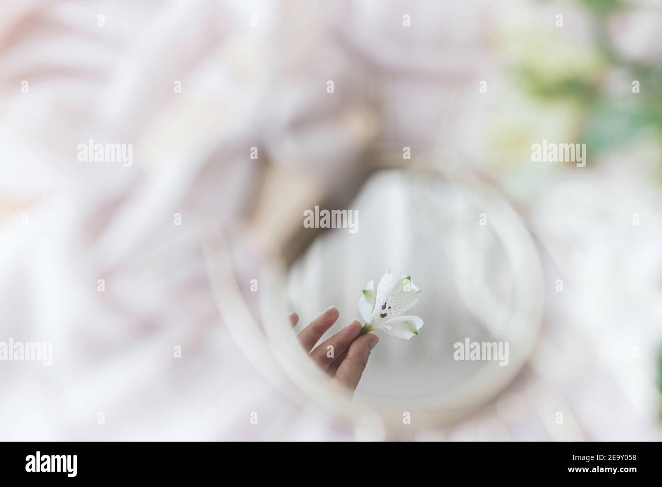 Mano che tiene fiori di alstroemeria riflessa in specchio su sfondo di tessuto morbido. Estetica primaverile e profumo floreale. Buon giorno delle donne e delle madri. Foto Stock