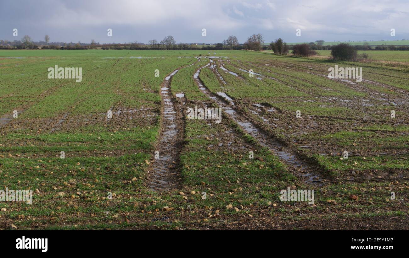 Terreni agricoli inglesi in inverno in giornata bagnata con pneumatici per trattori tracce Foto Stock