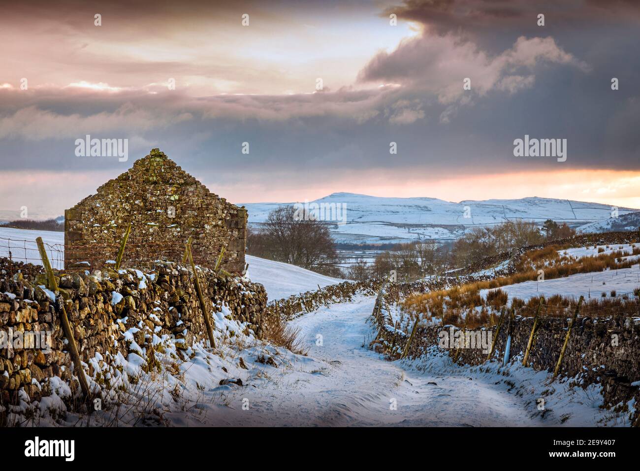 Neve coperta percorso murato e fienile nel paesaggio Yorkshire Dales in inverno. Horton Scar Lane, Horton a Ribblesdale, Regno Unito Foto Stock