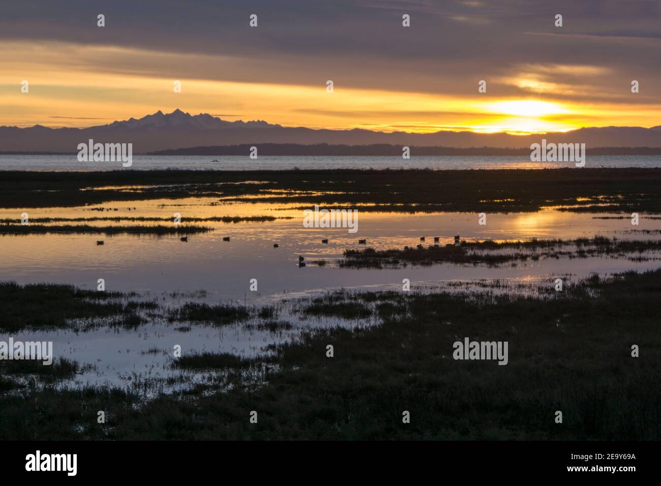 Alba a Boundary Bay BC Canada Foto Stock