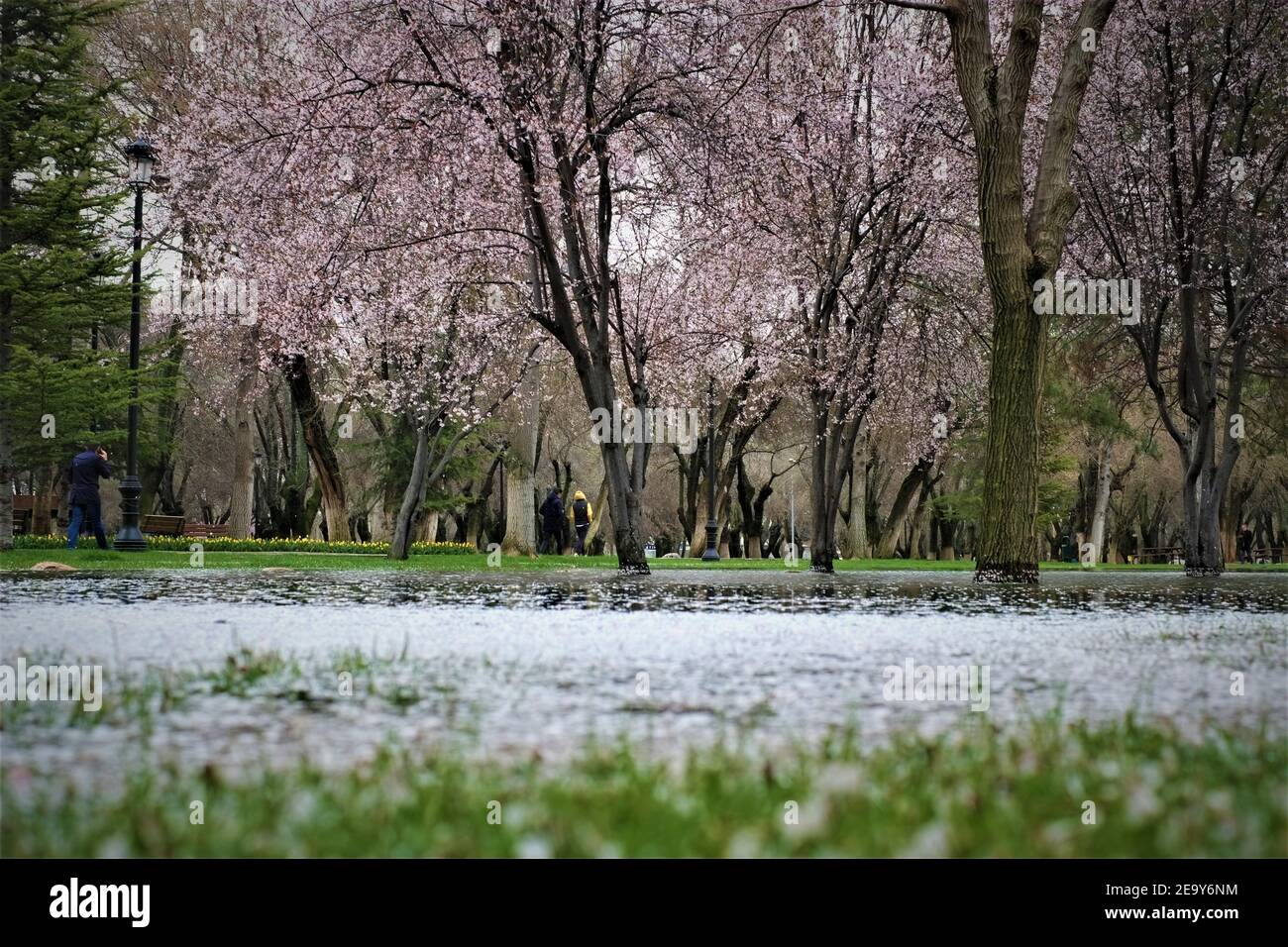 Gaziantep'te bahar yansımaları Foto Stock