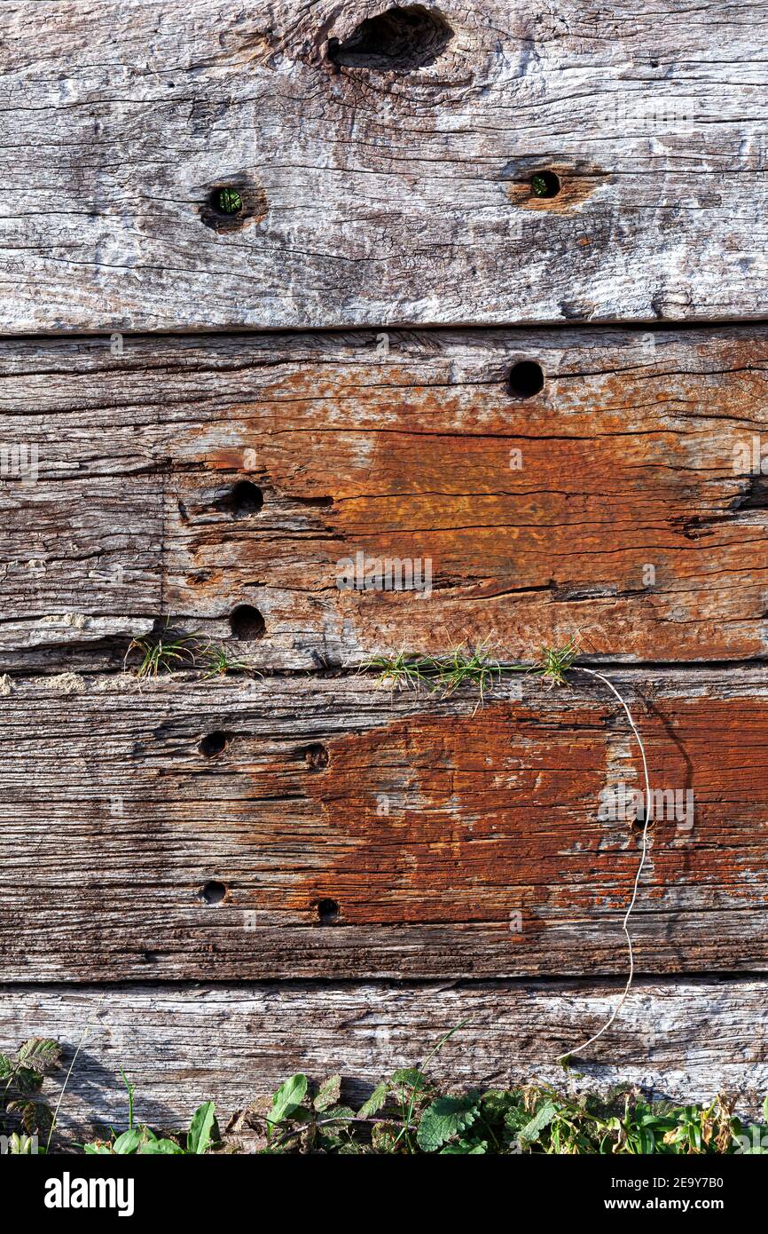 Vecchio marrone stagionato legno afflitto legno quercia tavole sfondo foto Foto Stock