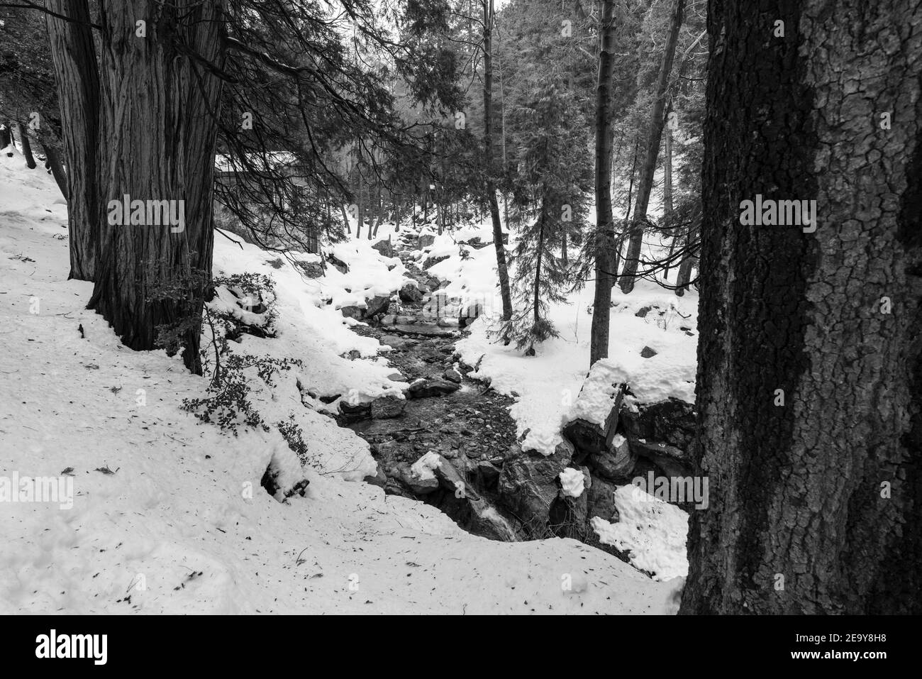 Vista invernale in bianco e nero di Ice House Canyon Creek nelle montagne di San Gabriel, California meridionale. Foto Stock