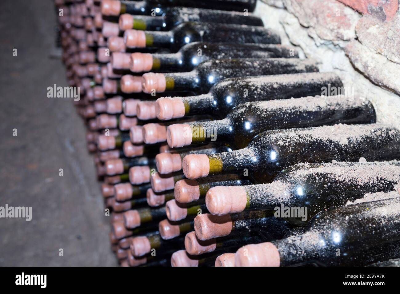 File vecchie bottiglie di vino in cantina. Cantina della Repubblica di Moldavia. Foto Stock