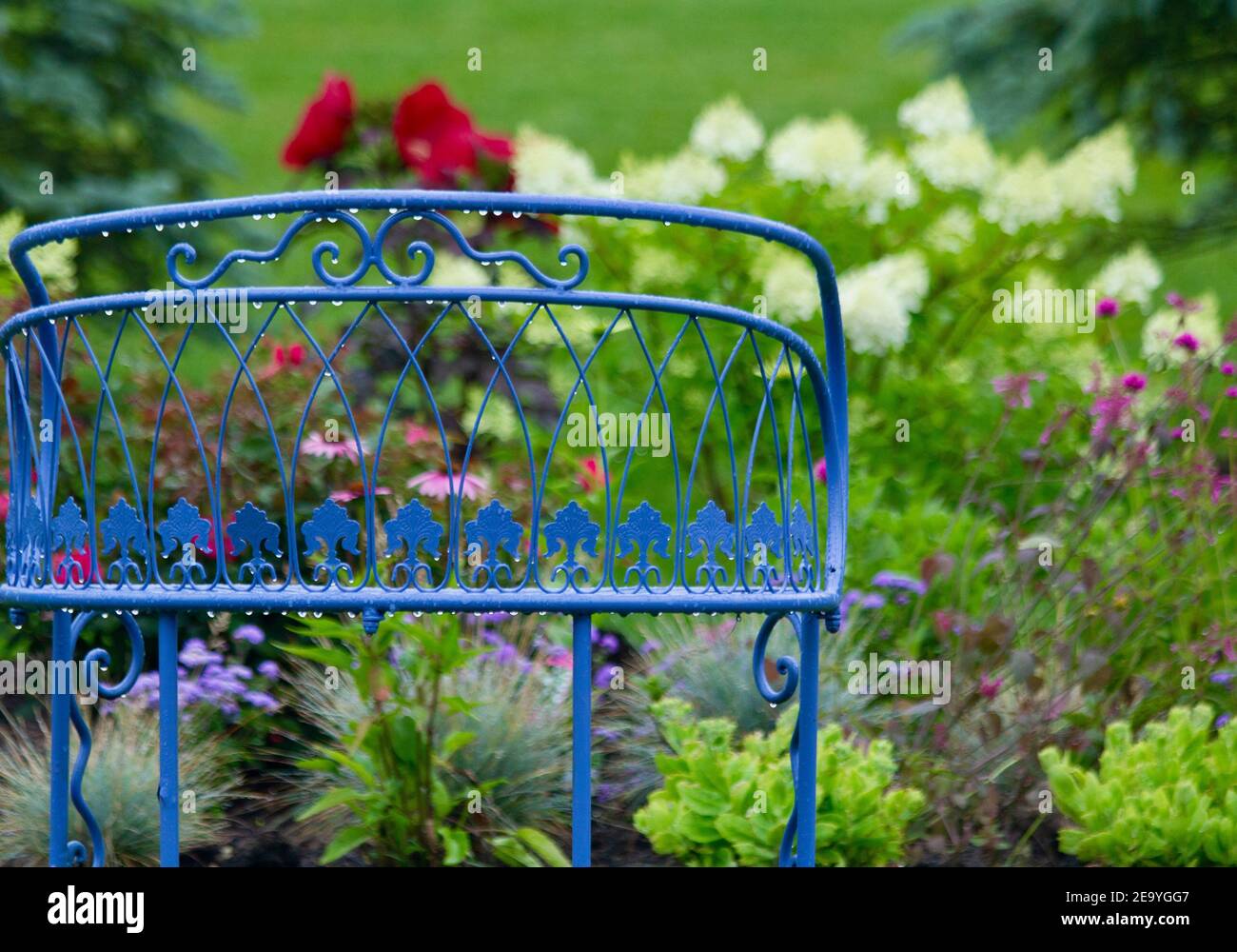 Panca giardino blu d'epoca in un giardino come Monet dopo una tempesta di pioggia. Foto Stock