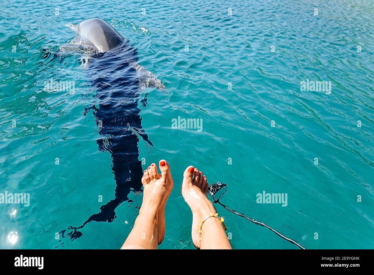 piedi femminili in acqua, il delfino nuota sotto l'acqua, bella acqua blu brillante, la struttura della superficie dell'acqua è blu Foto Stock