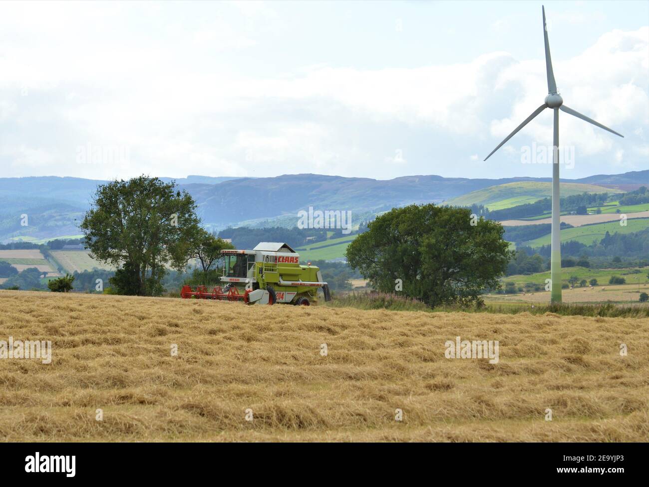Claas Combine Harvesting Spring Barley, Maryfield, Blairgowrie, Perthshire, Scozia - UK Arable Farming. Foto Stock