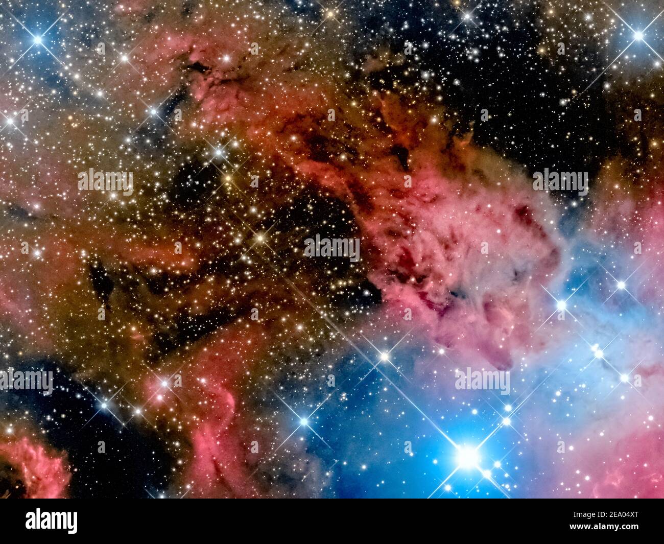 Astrofotografia - cono Nebula - NGC 2264 Foto Stock
