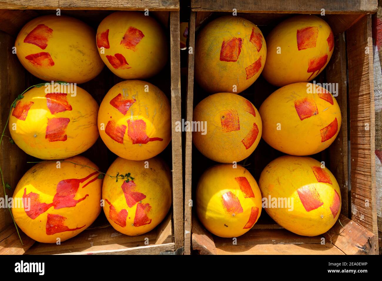 Francobolli rossi della migliore qualità sui meloni nel souq settimanale di Azrou, Marocco Foto Stock