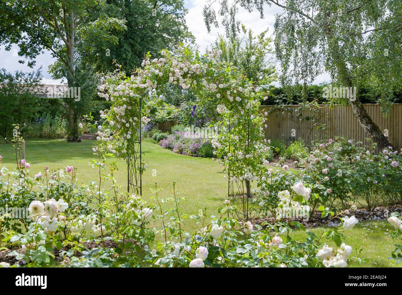 Giardino di rose. Grande giardino fiorito britannico con rose bianche di siepe e un arco di rosa Foto Stock