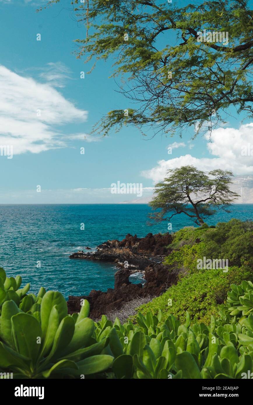 Vista sull'oceano da Wailea, Maui, Hawaii Foto Stock