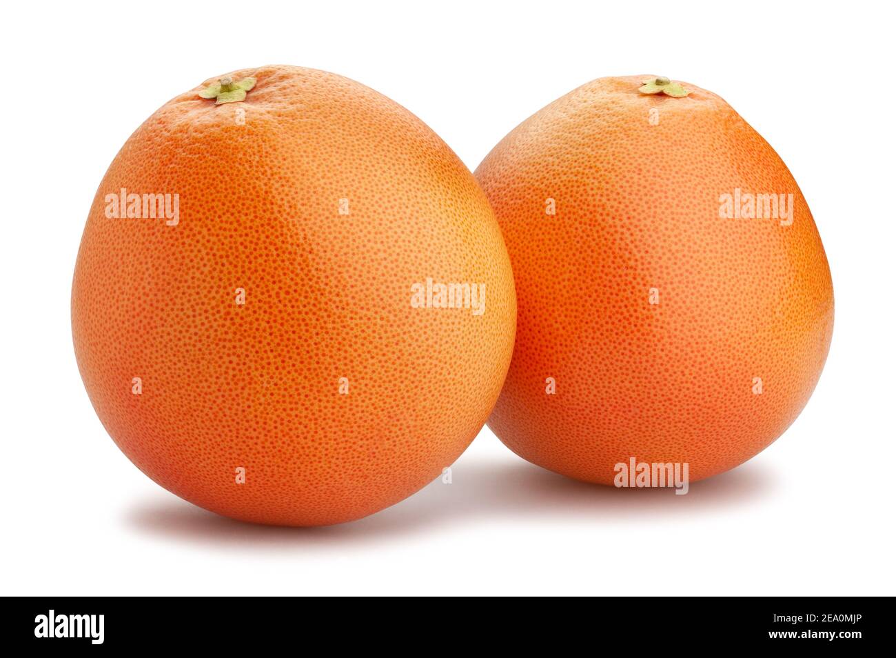 Percorso di pompelmo isolato su bianco Foto Stock