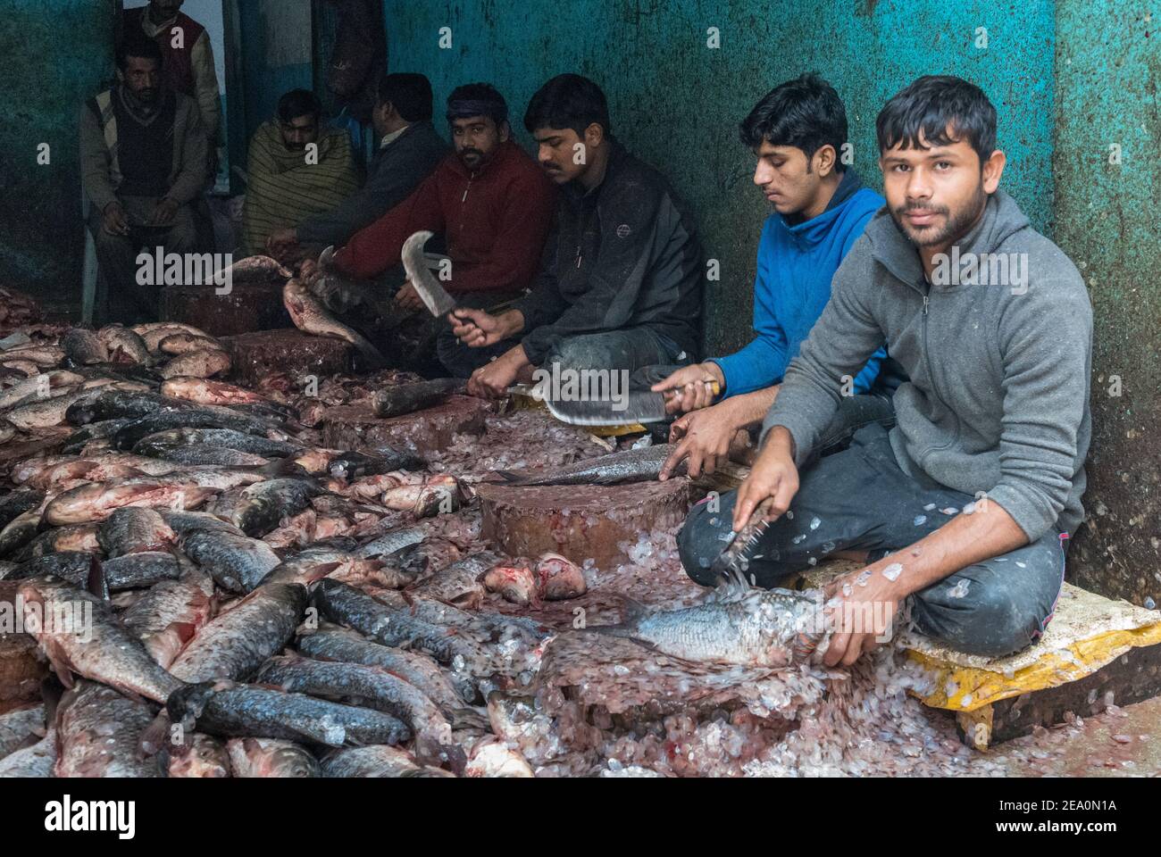 Uomini che scalano i pesci al mercato del pesce vicino Circular Road, Lahore, Punjab, Pakistan Foto Stock