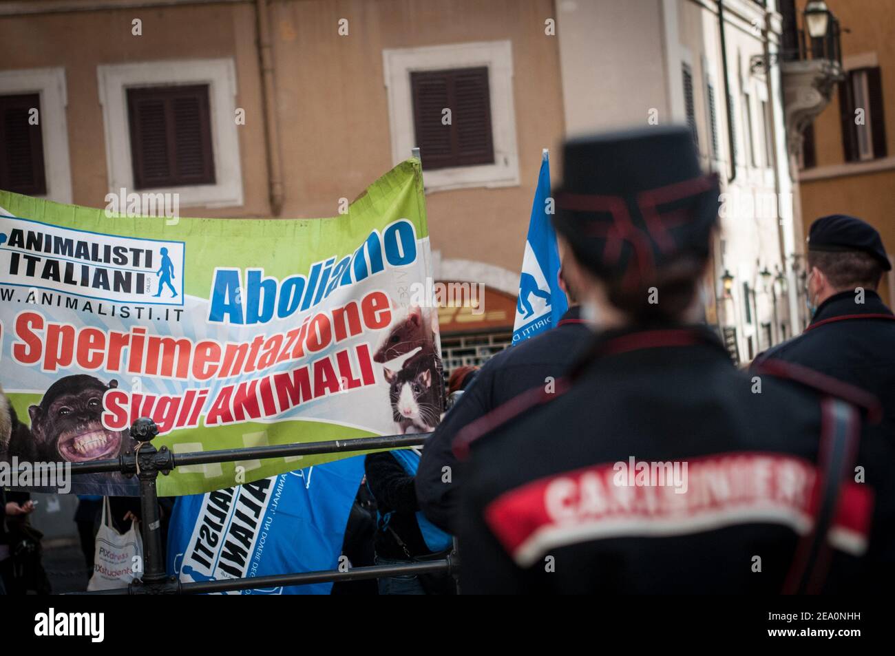 Roma, Italia. 06 febbraio 2021. Animalisti Italiani protesta in Piazza Montecitorio contro la condanna ingiusta e crudele pronunciata il 28 gennaio dal Consiglio di Stato, una sentenza che equivale a una condanna a morte per i macachi inermi detenuti nell'accoglimento dell'Università di Parma a Roma. (Foto di Andrea Ronchini/Pacific Press) Credit: Pacific Press Media Production Corp./Alamy Live News Foto Stock