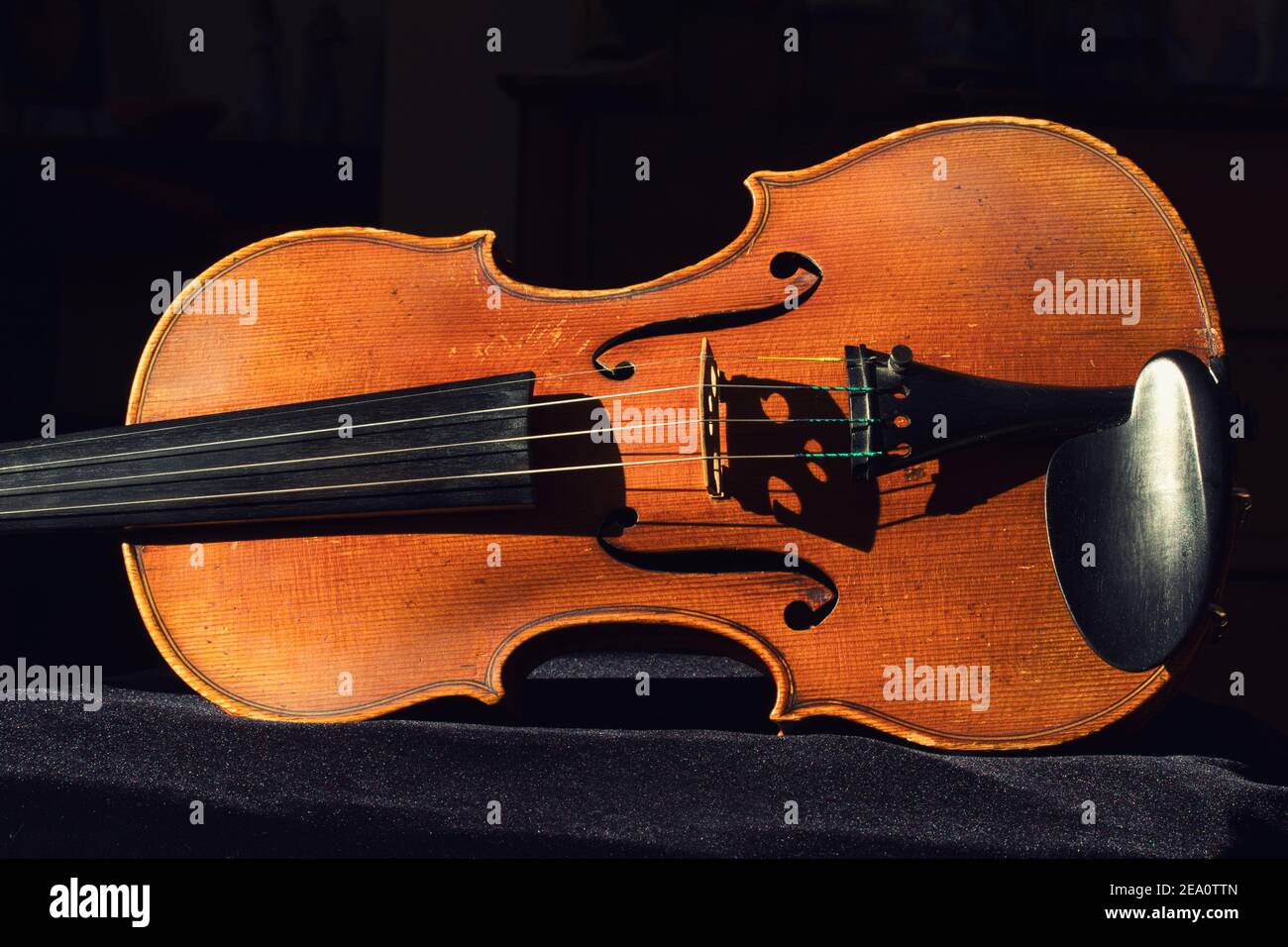 Primo piano del corpo di un violino con ombre del ponte e della tastiera. Foto Stock